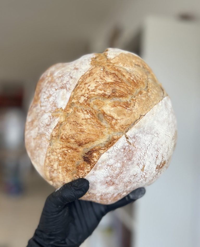 IMG_9068״ - גדול